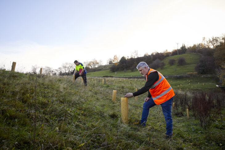 Two men planting trees. One is wearing a neon yellow jacket and one is wearing a neon orange jacket.